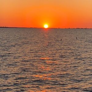 Meet your Posher, Carol